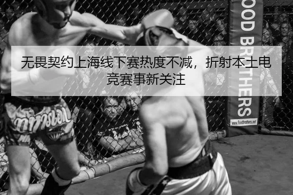 无畏契约上海线下赛热度不减，折射本土电竞赛事新关注