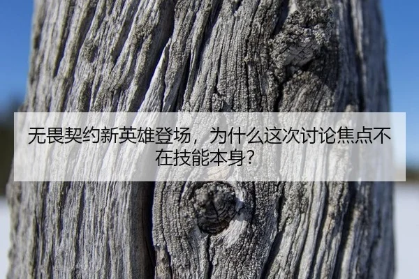 wu-wei-qi-yue-xin-ying-xiong-deng-chang-wei-shen-me-zhe-ci-tao-lun-jiao-dian-bu-zai-ji-neng-ben-shen-2-701.jpg